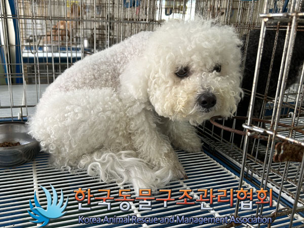 한국동물구조관리협회_411322202300464